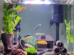 -三旗百汇商品城