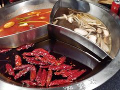 -大龙燚火锅(春熙店)