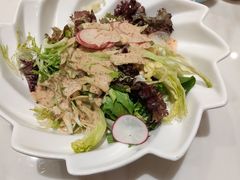 蔬菜色拉-梅龙镇酒家(南京西路总店)