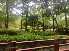 -中铁花水湾温泉酒店(大邑店)