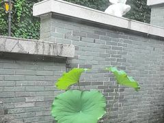 -花锦堂·隐庐
