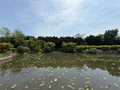 -嘉定紫藤园