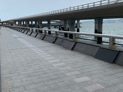 -演武大桥观景平台