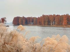 -四明湖