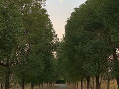 -武汉荟聚