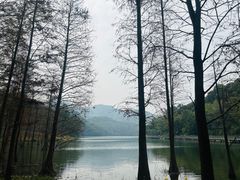 -广州市白云山风景名胜区