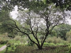 -云溪植物园