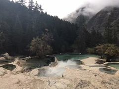 -黄龙山原始森林景区
