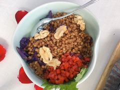 山野健康大麦饭-梧桐