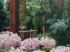 -谷咖啡·鲜花绿植花园餐厅
