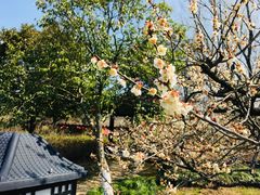 -白马涧龙池景区