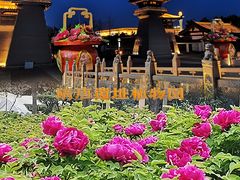 -洛阳市隋唐城遗址植物园