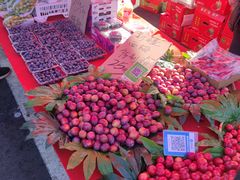 -三旗百汇商品城