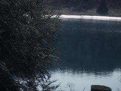 -武陵山森林公园