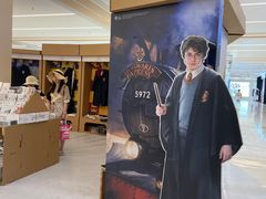 -凯德MALL(望京店)