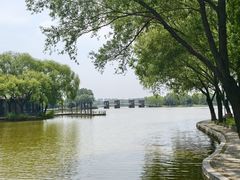-石家庄市植物园