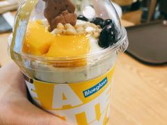 蓝莓松鼠代餐酸奶-Blueglass酸奶(财富购物中心店)