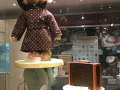 -济州岛泰迪熊博物馆