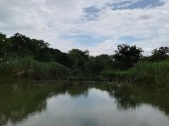 -梁鸿国家湿地公园