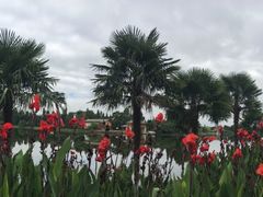 -云南滇池花园国际大酒店温泉