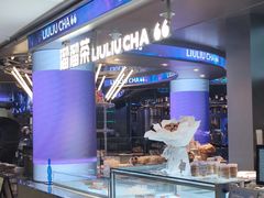 -TD66高山铁皮石斛养生茶饮