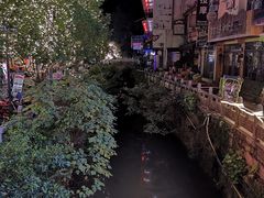 -刘姐啤酒鱼民族演艺餐厅(西街总店)