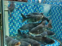 -农汤老店(顺联公园里店)