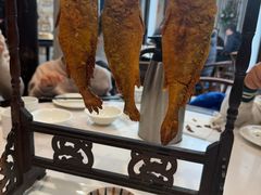 -院8里·少城记忆老川菜(宽窄巷子店)