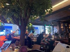 -同仁四季椰子鸡(宝安壹方城店)