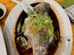 蒸鲈鱼-粤·向群饭店(泮塘路店)