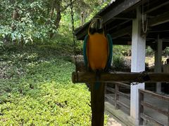 -千岛湖东南湖区