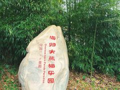 -中国大熊猫保护研究中心雅安碧峰峡基地