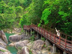 -广州白江湖森林公园