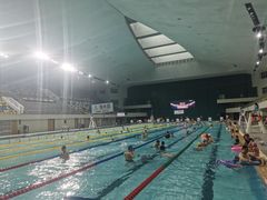 -重庆市奥林匹克体育中心-游泳跳水馆