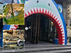 -石家庄海洋公园