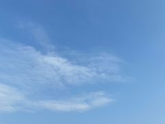 -瑰丽酒店·海吧·天际下午茶·现场DJ·天台酒吧