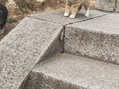 -崂山巨峰游览区