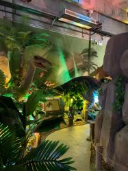 -恐龙探索乐园(磁器口店)