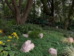 -成都市活水公园