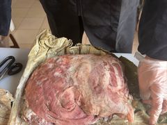 -东山矮马桶羊肉(太湖东山店)