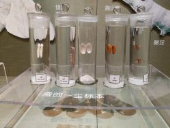 -太湖雪蚕桑文化园