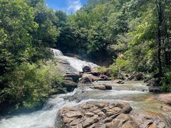 -广州白江湖森林公园