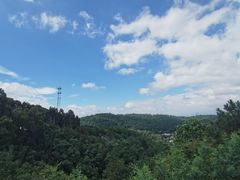 -云南野生动物园