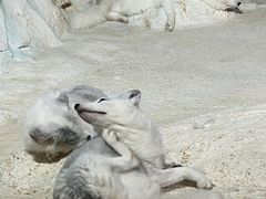 -珠海长隆海洋王国