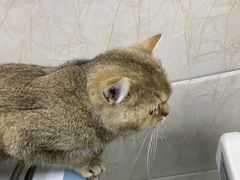 -动物缘宠物医院·骨科·猫科(西二环店)