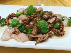 -丁老爷子苏香圆
