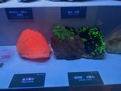 -湖南省地质博物馆
