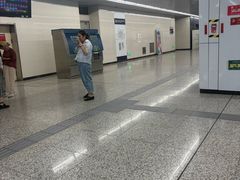 -宋家庄(地铁站)