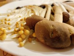 -钦善斋(武侯祠店)