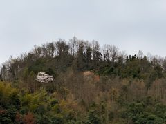 -磐安十八涡景区